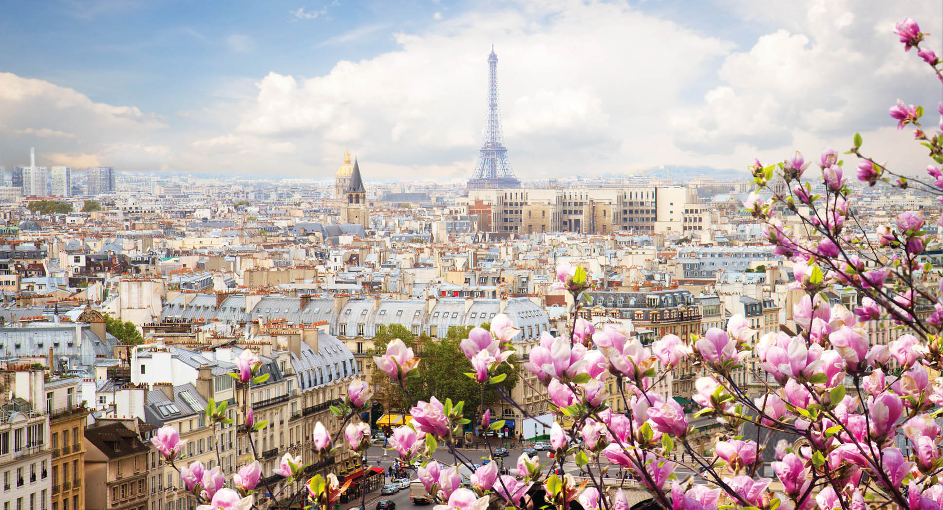 skyline of Paris city roofs with Eiffel Tower with blooming magnolia spring tree, Paris, France