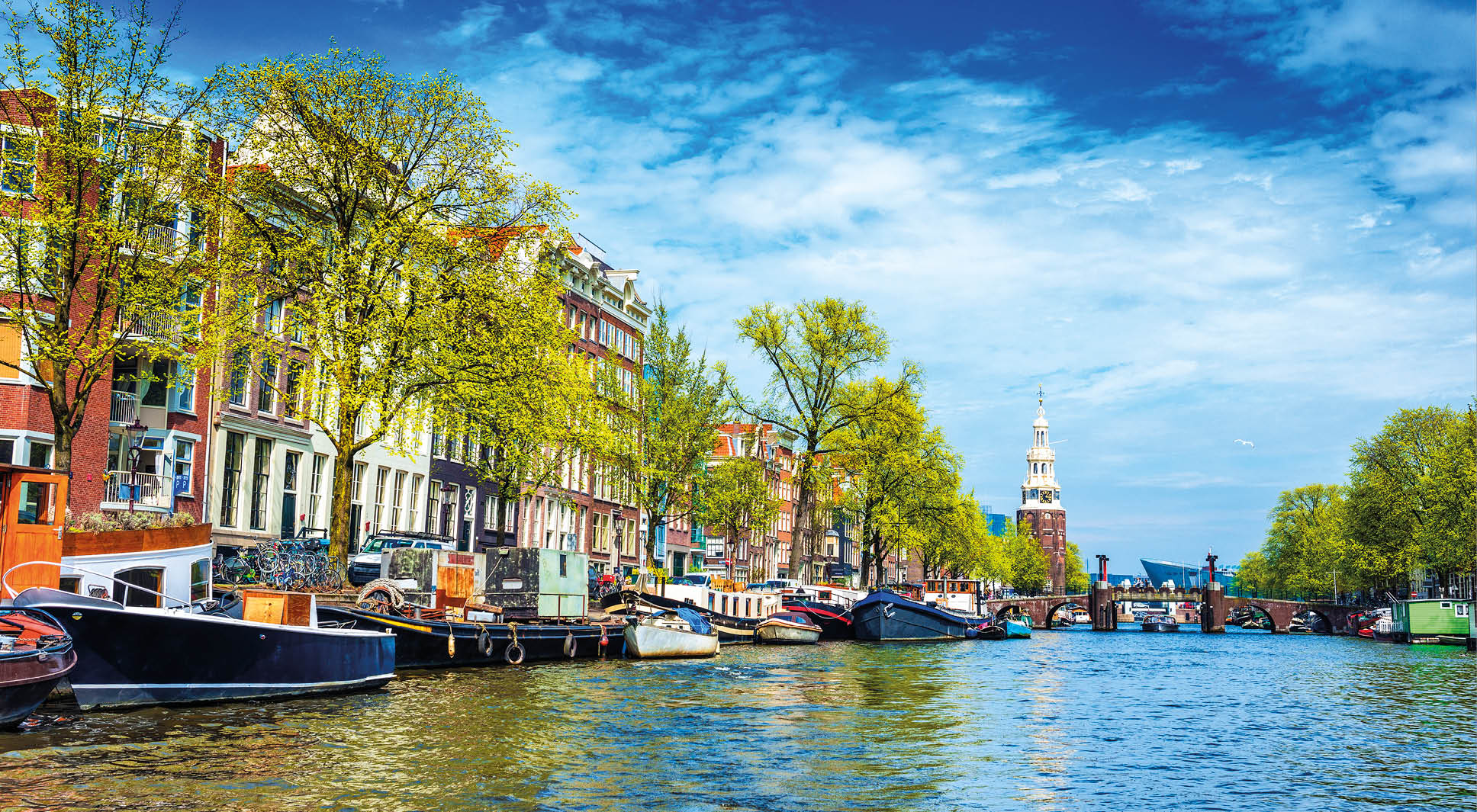 Typical canal in Amsterdam. Visible are restaurants, sightseeing tourism canal boats, typical dutch houses, bridges and Munttoren Tower in Centrum. Amsterdam, Netherlands.