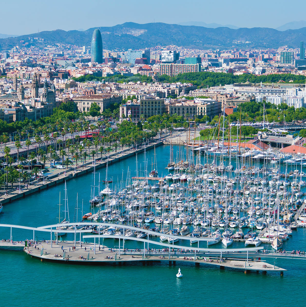 Barcelona port view from the air. Luxurious port in Barcelona, Spain.