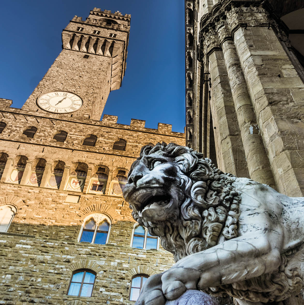 The lion, symbol of Florence from Loggia dei Lanzi in Piazza della Signoria
