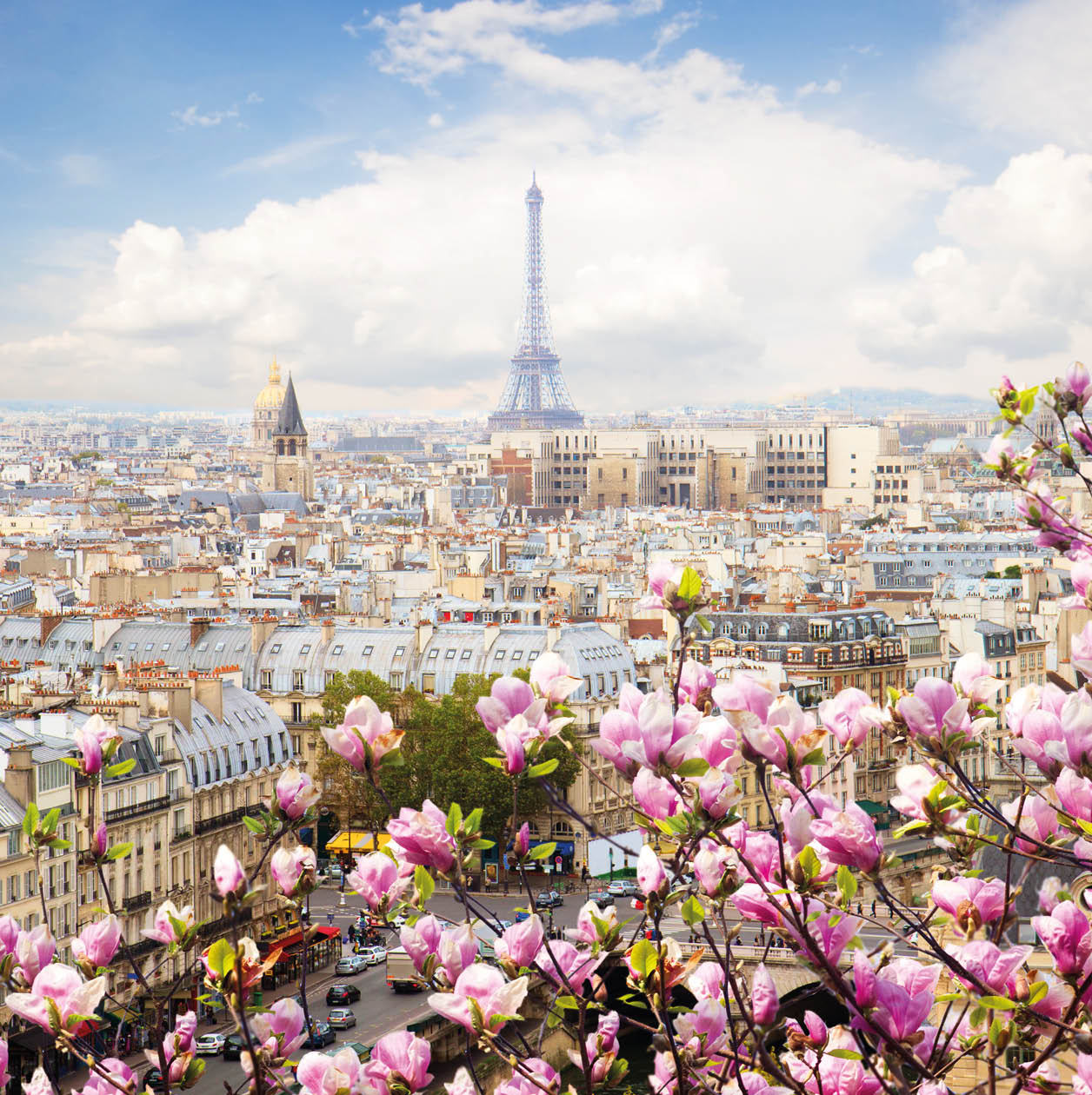 skyline of Paris city roofs with Eiffel Tower with blooming magnolia spring tree, Paris, France