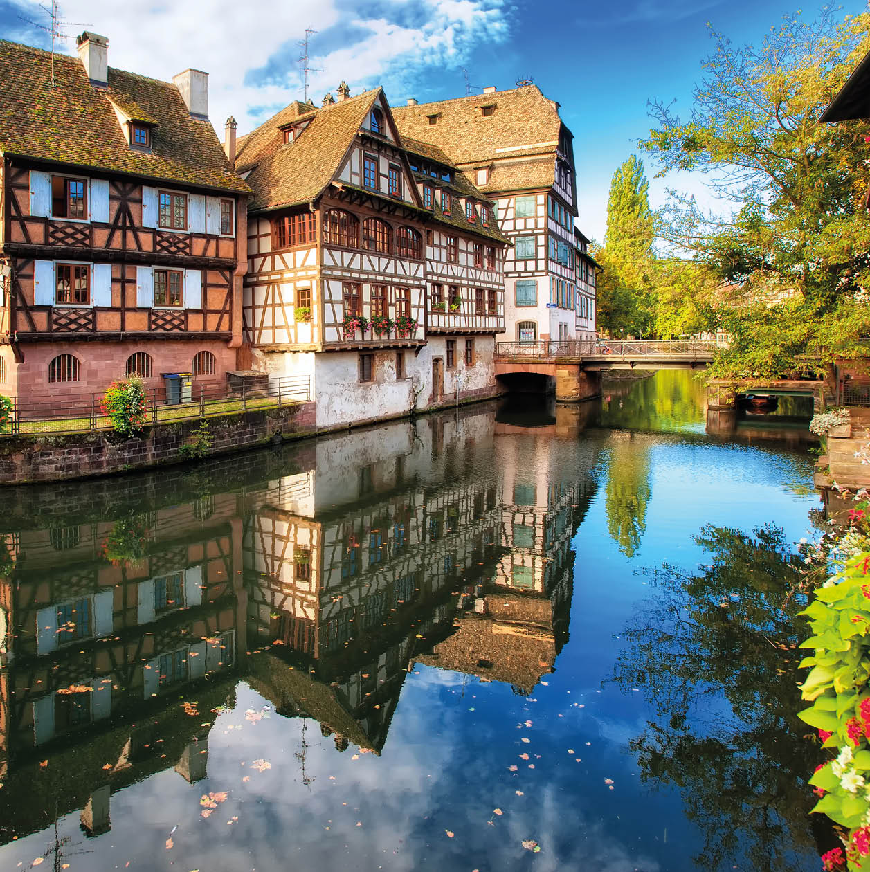 Traditional half-timbered houses in La Petite France district, Strasbourg, France