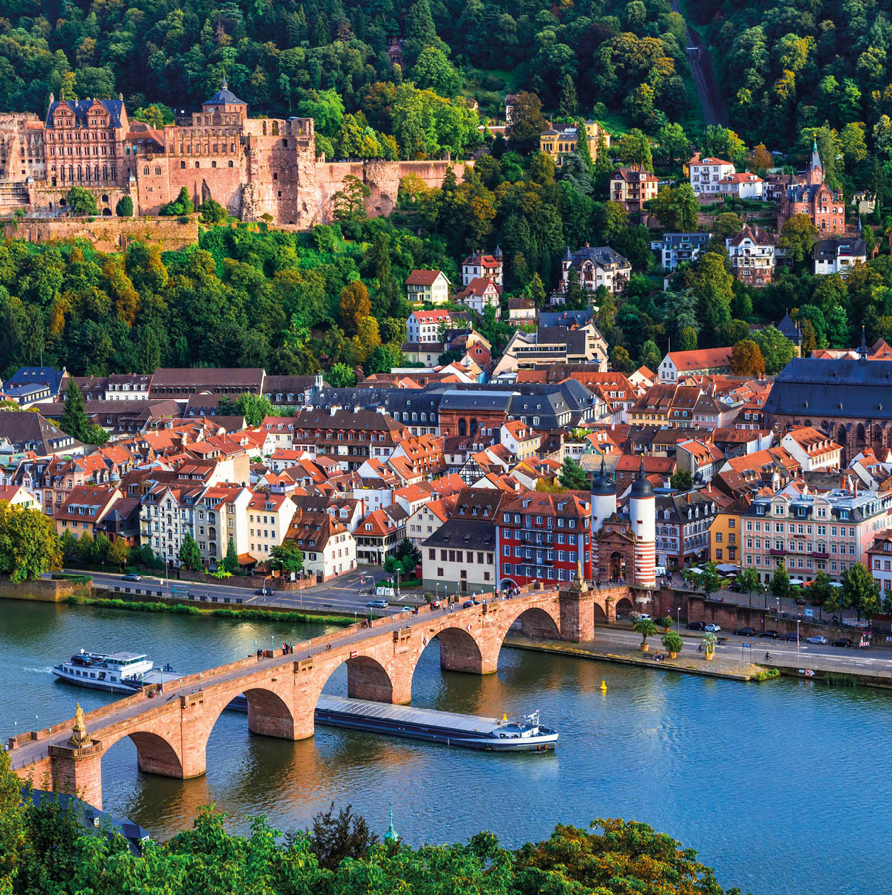 Travel in Germany - cityscape of picturesque historic Heidelberg