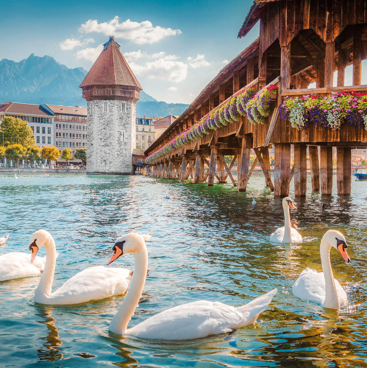 Historic city center of Lucerne with famous Chapel Bridge, the city's symbol and one of the Switzerland's main tourist attractions, and Mount Pilatus peak in the background, Switzerland
