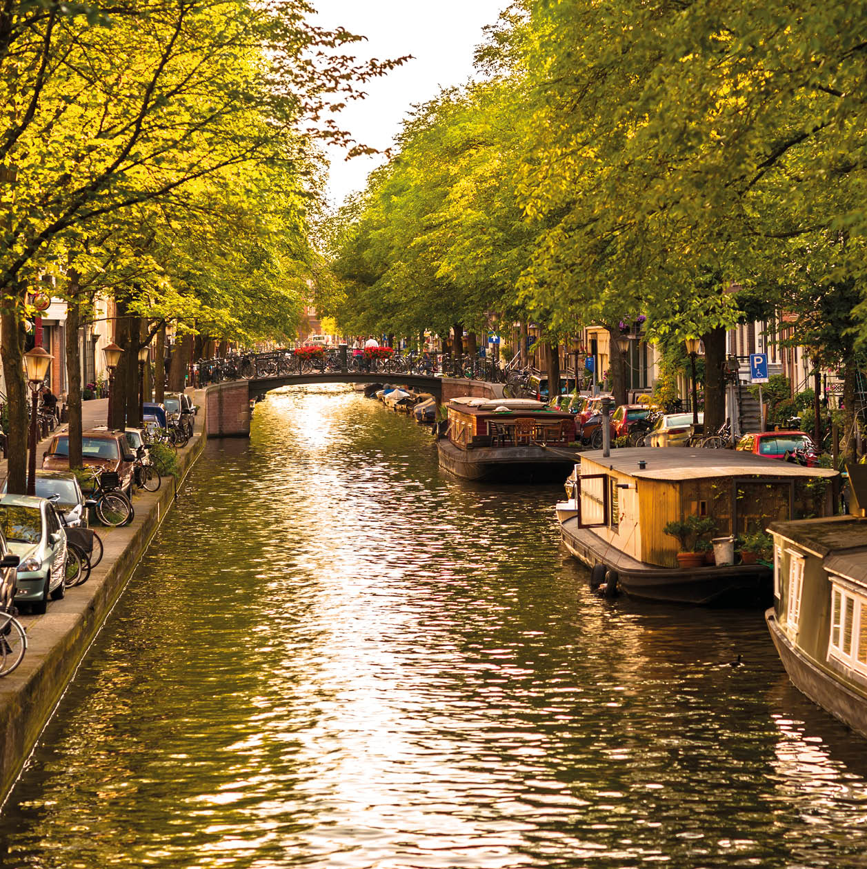 Houseboats on Amsterdam Canal 