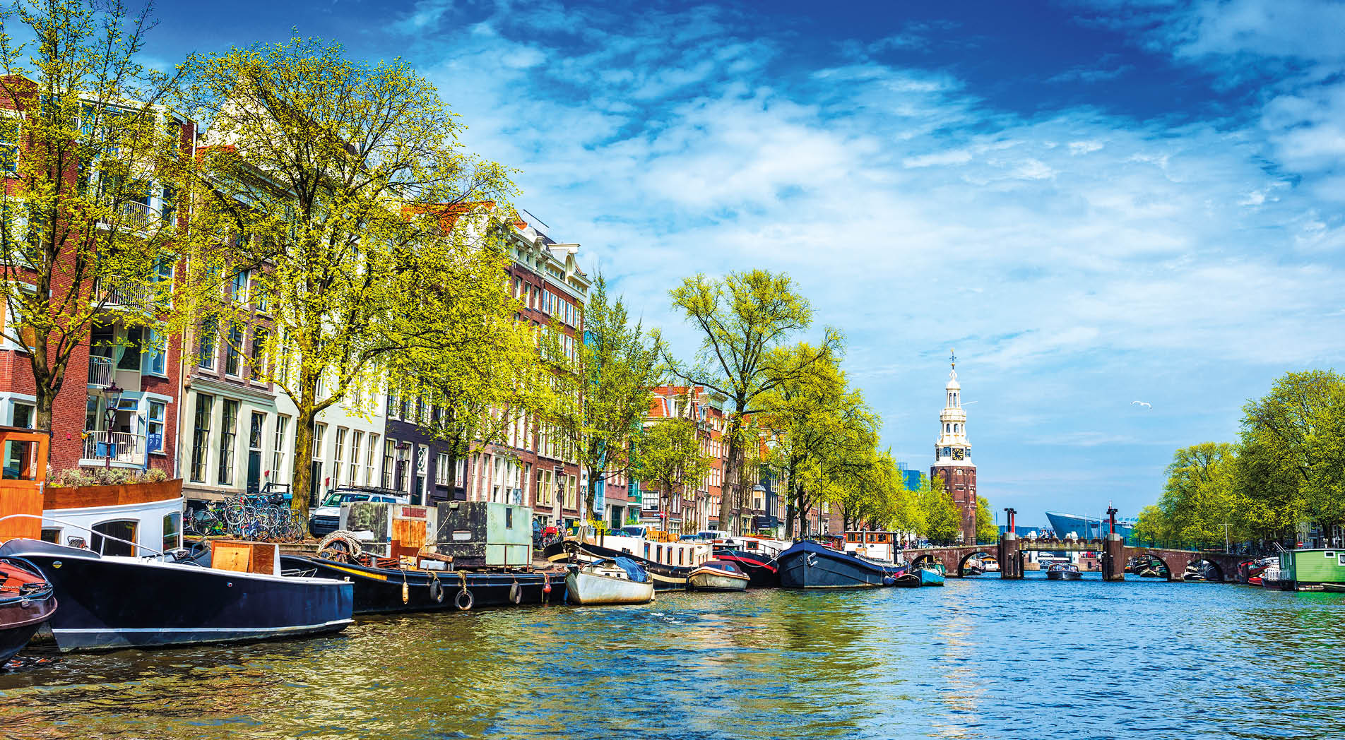 Typical canal in Amsterdam. Visible are restaurants, sightseeing tourism canal boats, typical dutch houses, bridges and Munttoren Tower in Centrum. Amsterdam, Netherlands.