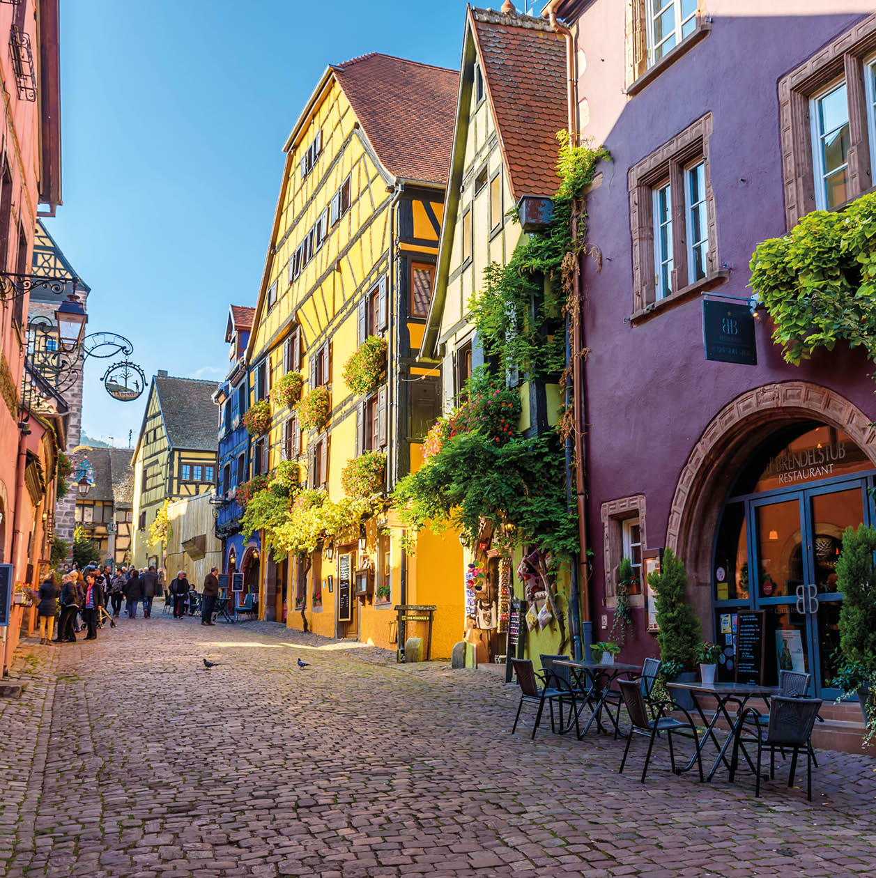 Beautiful village Riquewihr with historic buildings and colorful houses in Alsace of France - Famous vine route - travel destination for vacation