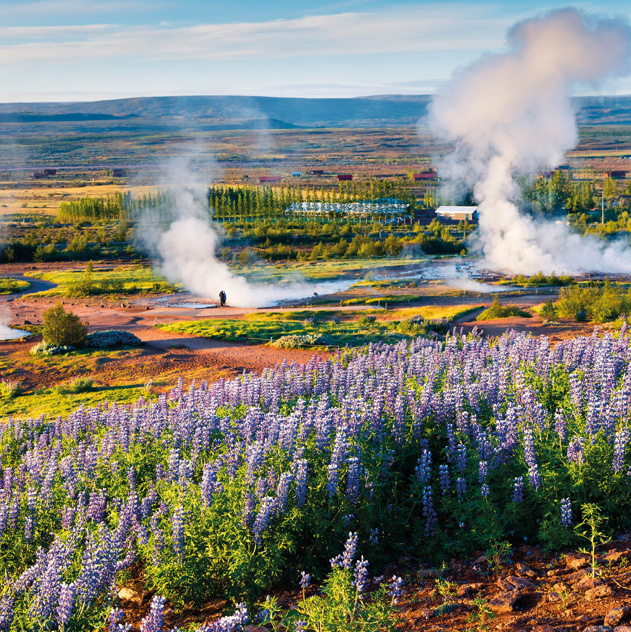 Erupting of the Great Geysir lies in Haukadalur valley on the slopes of Laugarfjall hill. Foggy summer morning in Southwestern Iceland, Europe. Artistic style post processed photo.