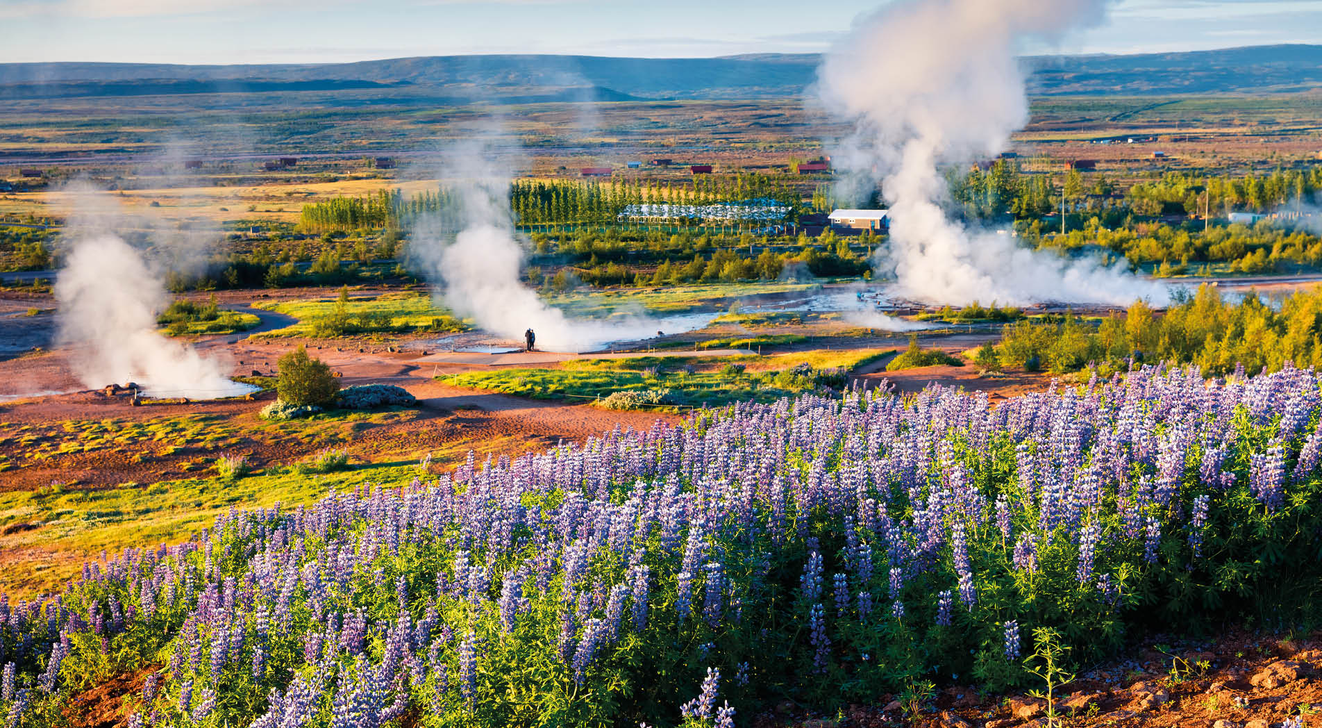 Erupting of the Great Geysir lies in Haukadalur valley on the slopes of Laugarfjall hill. Foggy summer morning in Southwestern Iceland, Europe. Artistic style post processed photo.